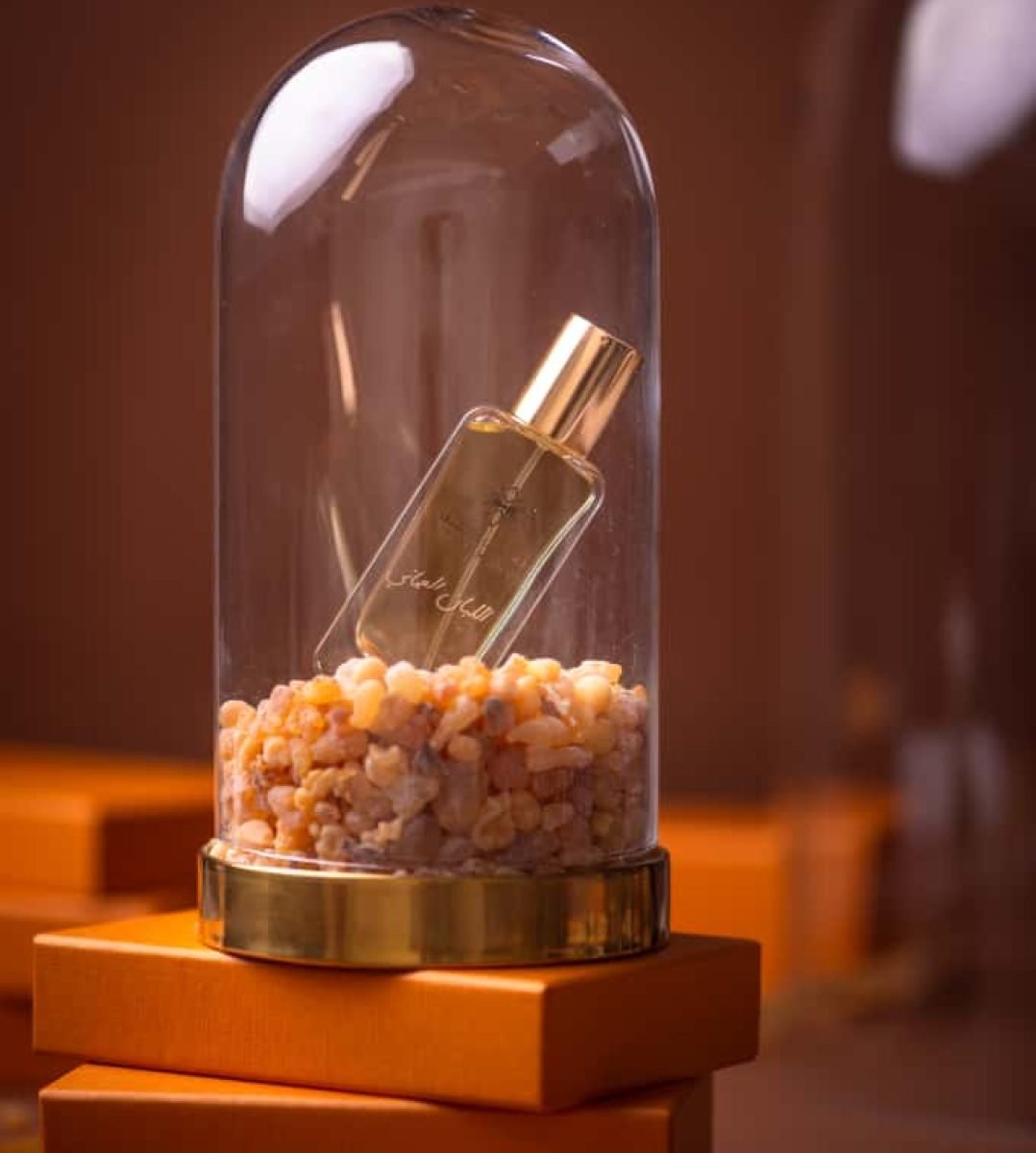 WhatsApp Image 2025-10-08 at 13.21.07_24e8949f