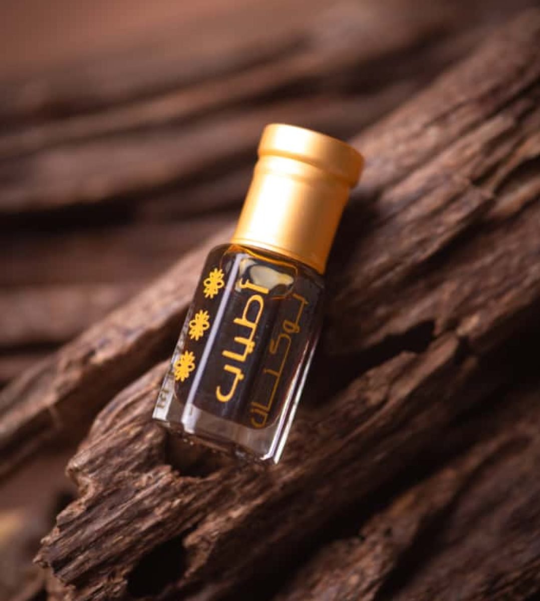 WhatsApp Image 2025-10-08 at 13.21.08_01731ef4